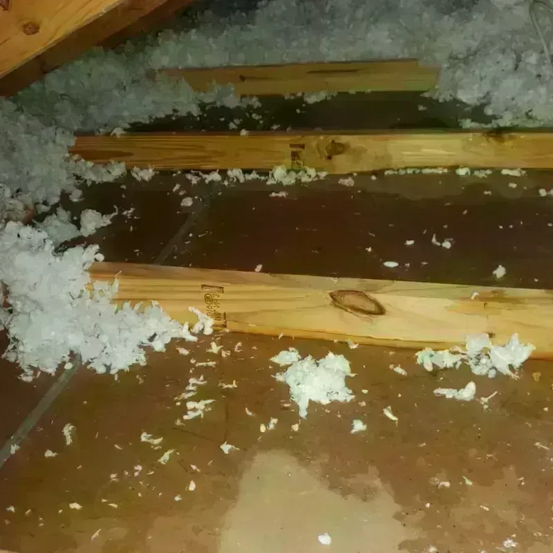 Attic Water Damage in Basin City, WA