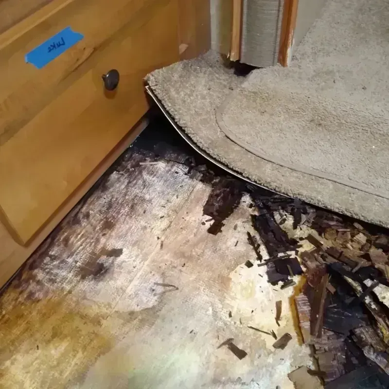 Wood Floor Water Damage in Basin City, WA